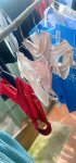 IMG_2896.jpeg