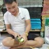 thuymy